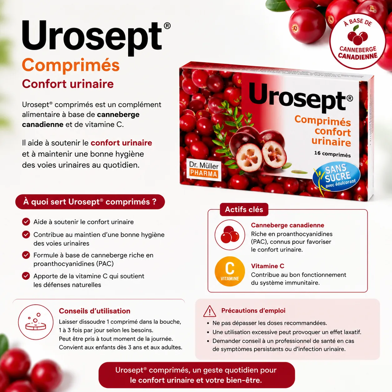 UROSEPT COMPRIMES Confort Urinaire Canneberge Présentation Urosept Comprimés confort urinaire à base de canneberge canadienne et vitamine C, avec actifs clés, conseils d’utilisation et précautions.
