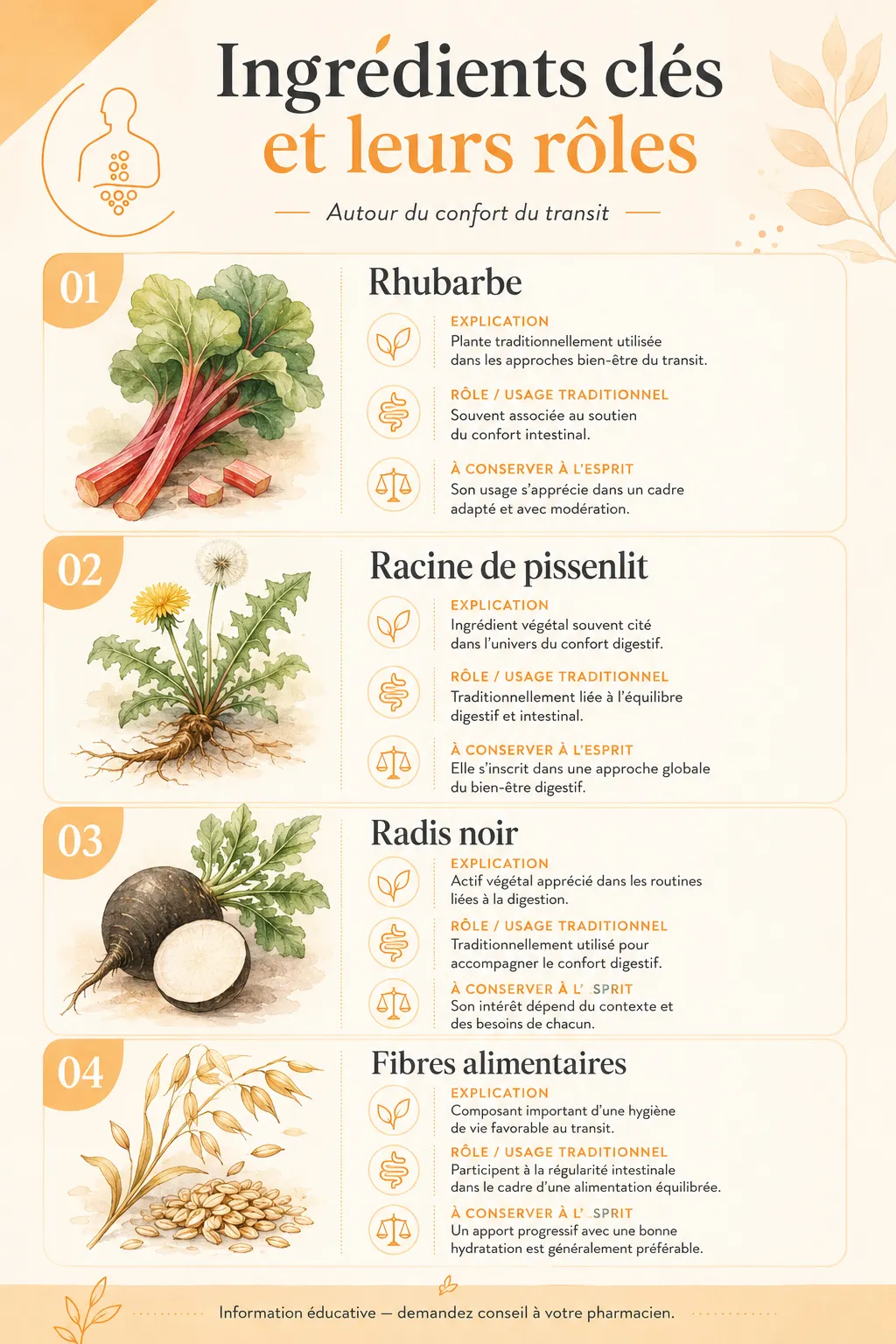 LAXFORTE Comprimés - laxatif naturel Infographie LAXFORTE sur les ingrédients clés du confort du transit : rhubarbe, racine de pissenlit, radis noir et fibres alimentaires.